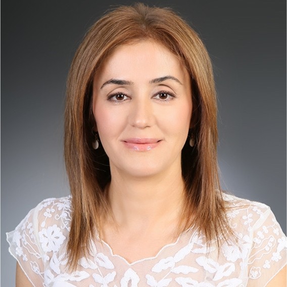 Prof. Dr. Sibel Demir