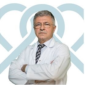 Prof. Dr. Erdal Gmen