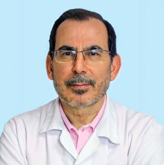 Prof. Dr. Metin Arslan